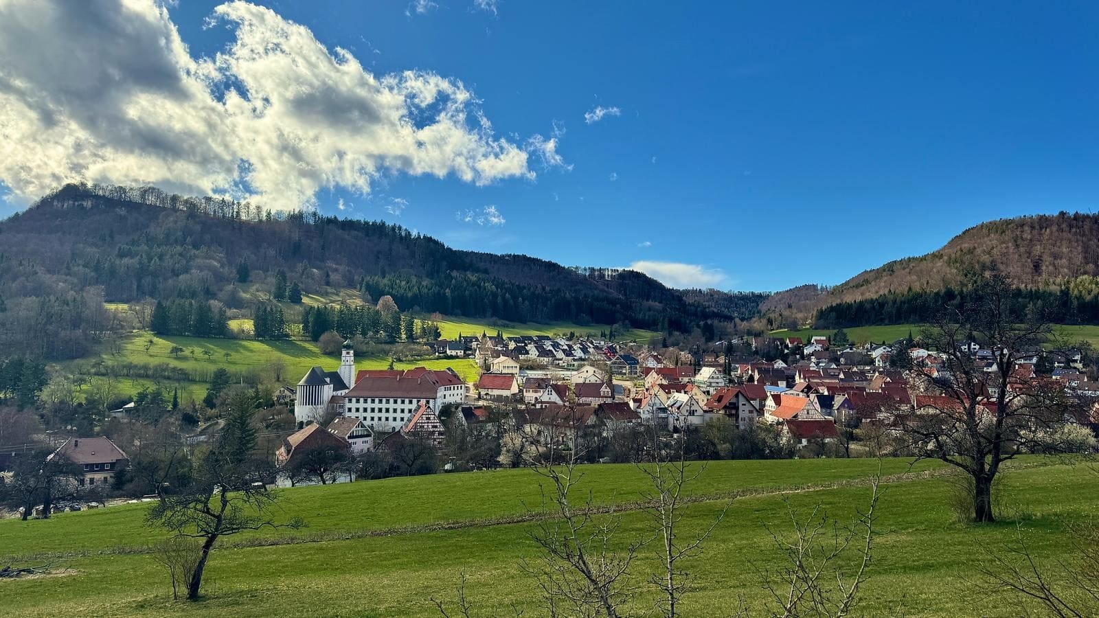 06 village_landscape