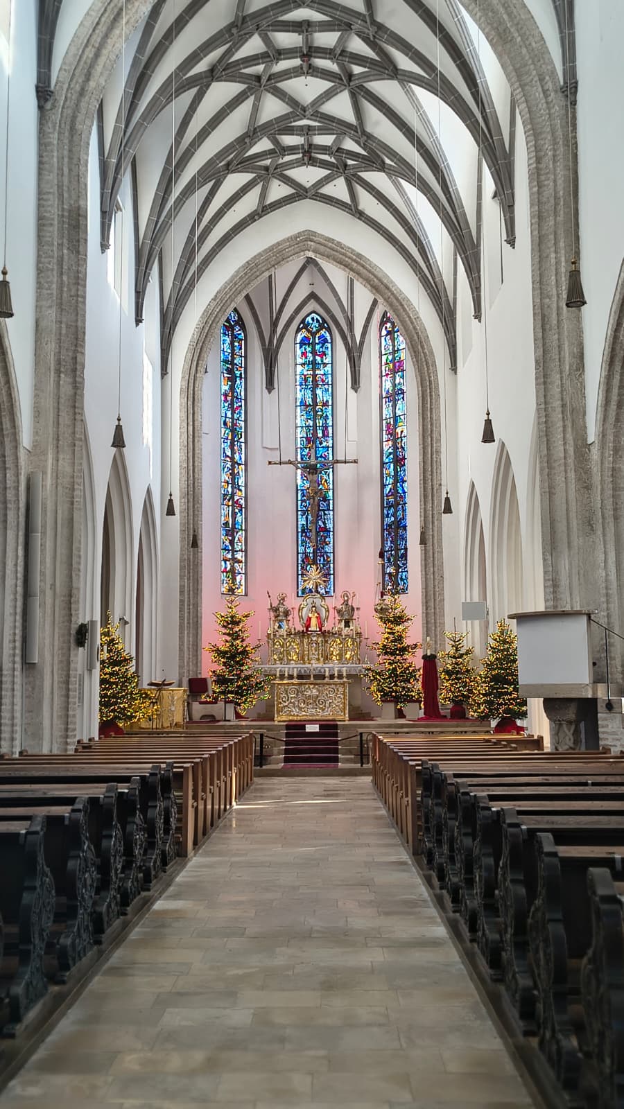 Fr Robin plathottam